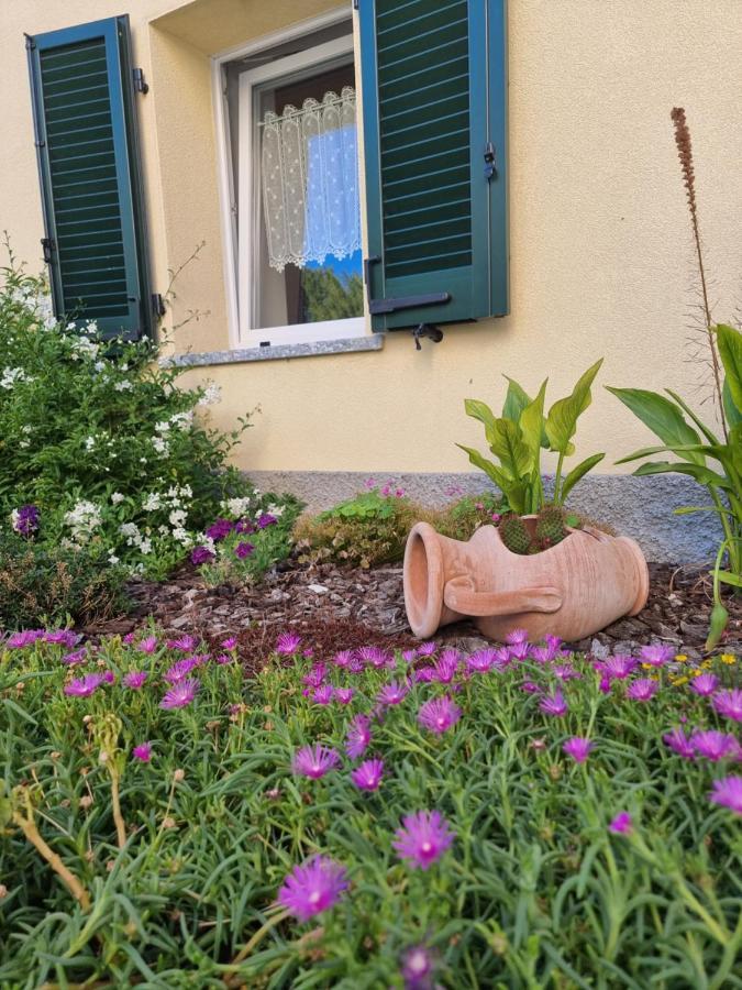 Apartament Residenze Lariane Colico Zewnętrze zdjęcie